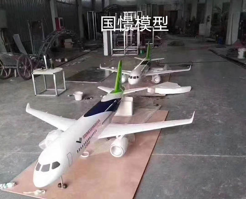 宕昌县飞机模型