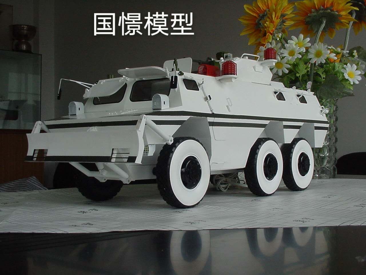 宕昌县军事模型
